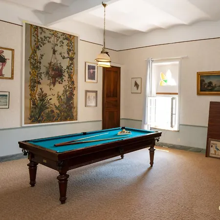 Le Chateau D'aigueze *